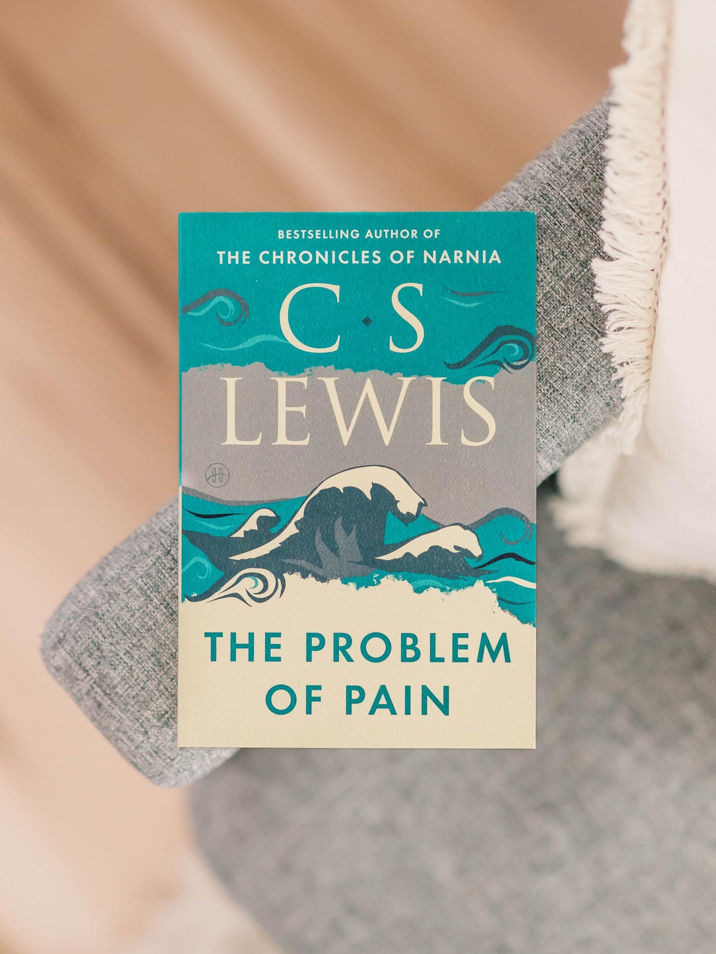 The Problem of Pain