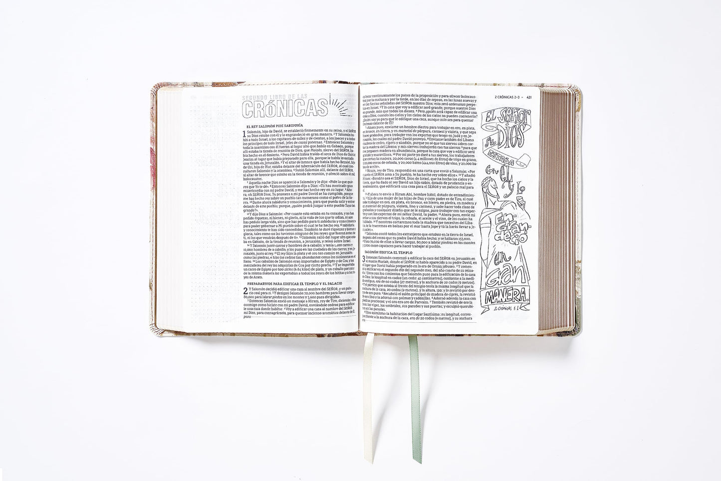 NBLA, Santa Biblia, Edición Artística Ilustrada, Leathersoft, Multicolor/Crema, Palabras de Jesús en Rojo, Comfort Print
