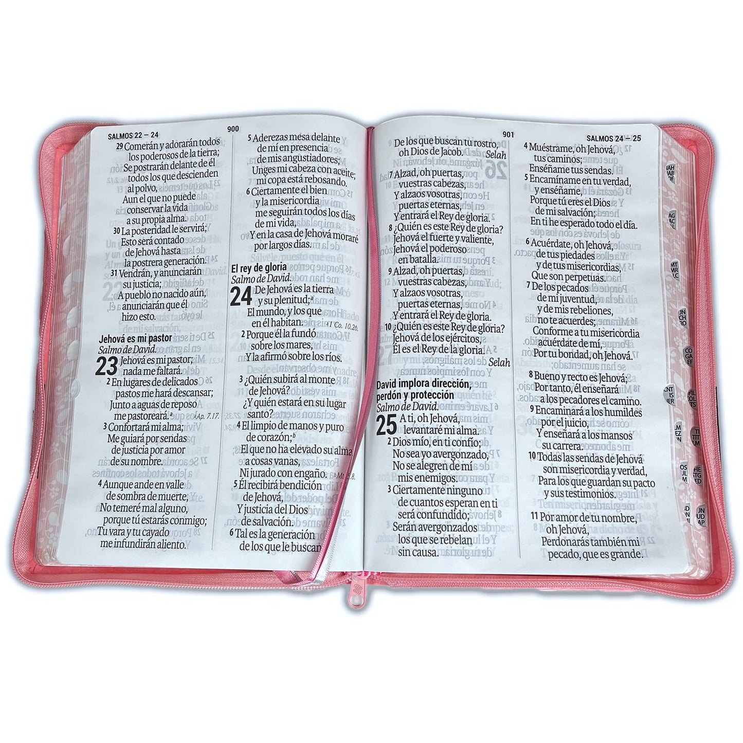 Biblia Letra Supergigante 19 puntos: RVR1960, imit. piel rosa duotone con índice (Spanish Edition)
