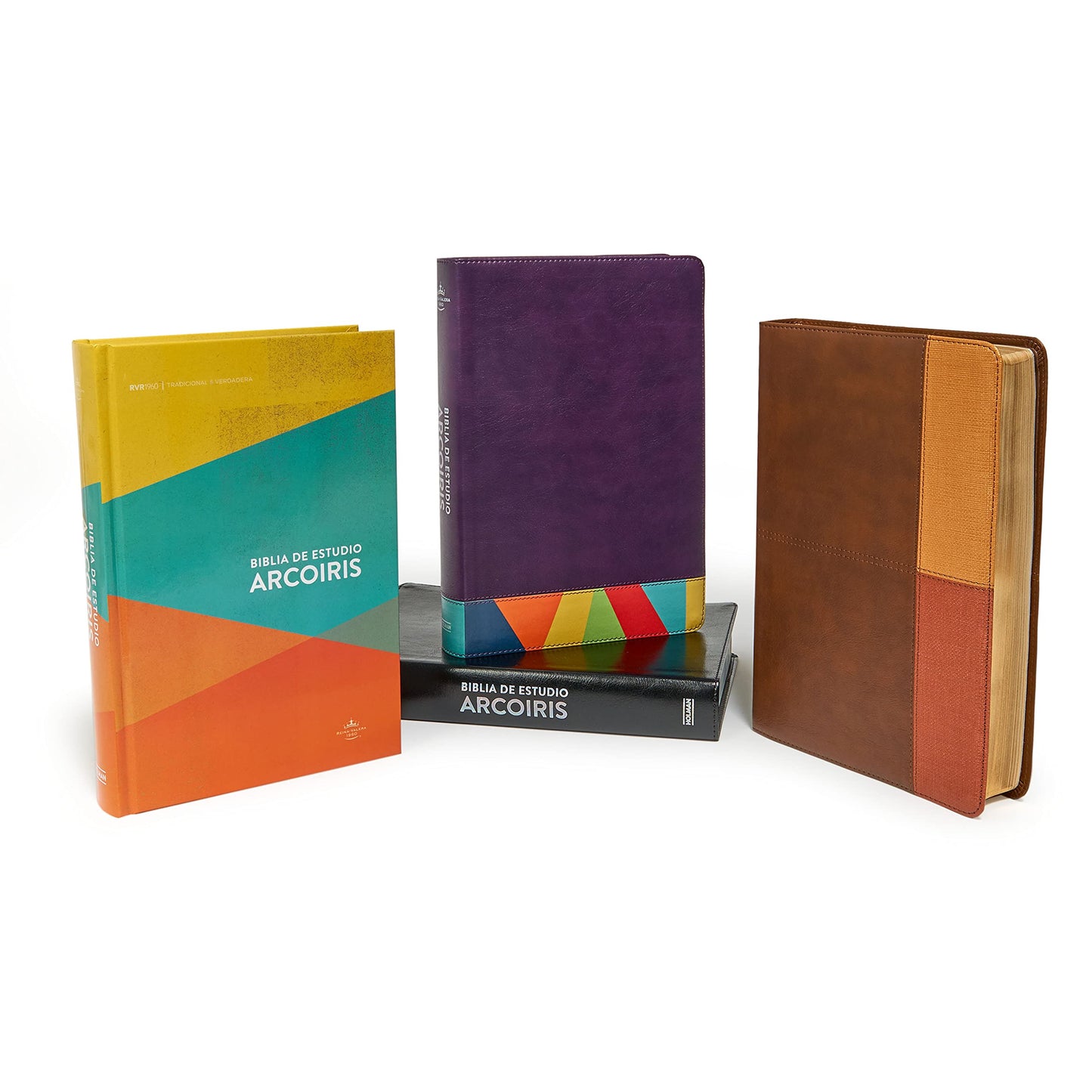 Reina Valera 1960 Biblia de Estudio Arcoiris, morado/multicolor | RVR 1960 Rainbow Study Bible Purple/multicolor LeatherTouch