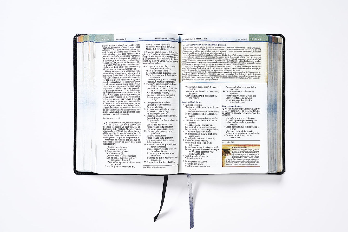 NBLA, Biblia Cronológica de Estudio, Interior a cuatro colores, Leathersoft, Negro, Comfort Print