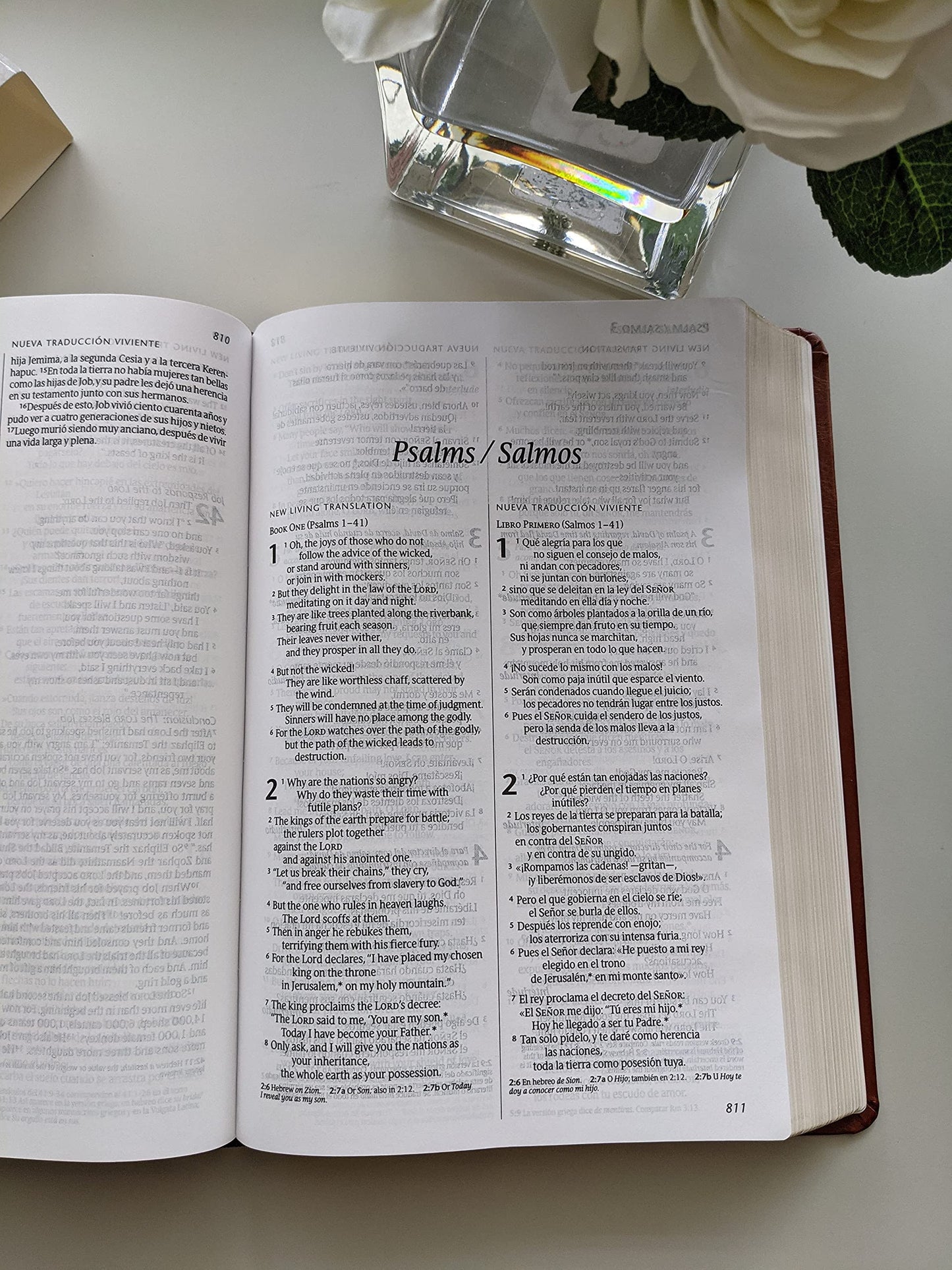 Bilingual Bible / Biblia Bilingüe Nlt/Ntv (Leatherlike, Brown)