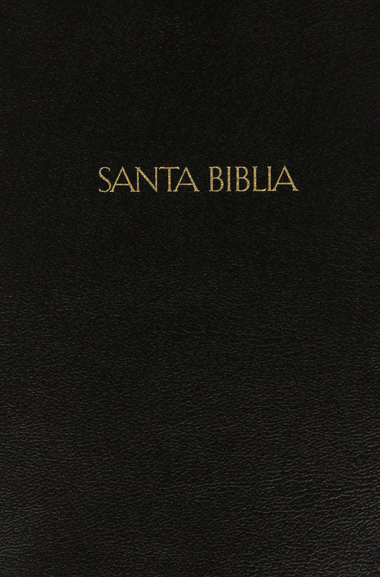 Bilingual Bible-PR-RV 1960/KJV