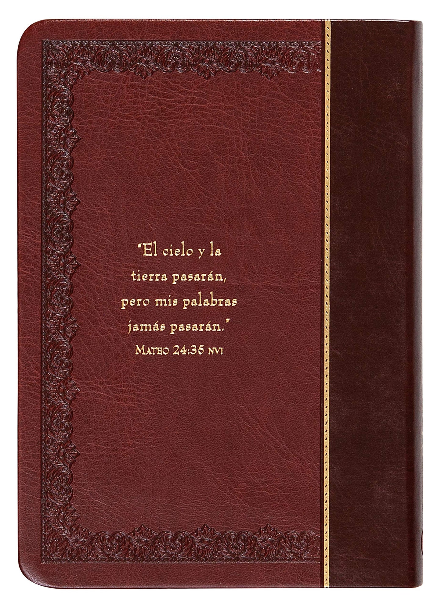 Promesas de la Biblia Para La Vida: Un Manual Indispensable Para Cada Una de Sus Necesidades
