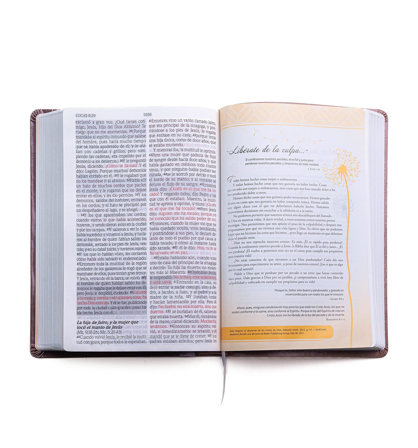 Biblia de promesas Inspira- Oro Rosado - Reina Valera 1960- Letra Grande (Spanish Edition): Edicion Para Mujeres