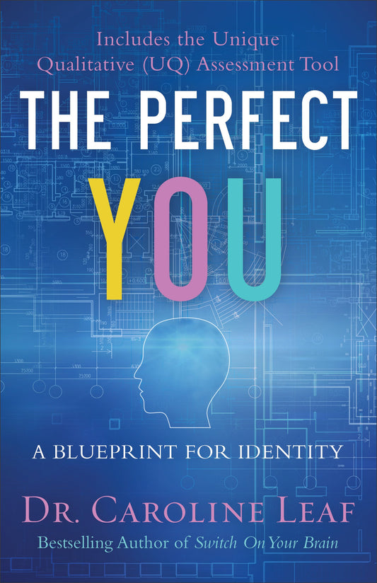 The Perfect You: A Blueprint for Identity (English Edition)