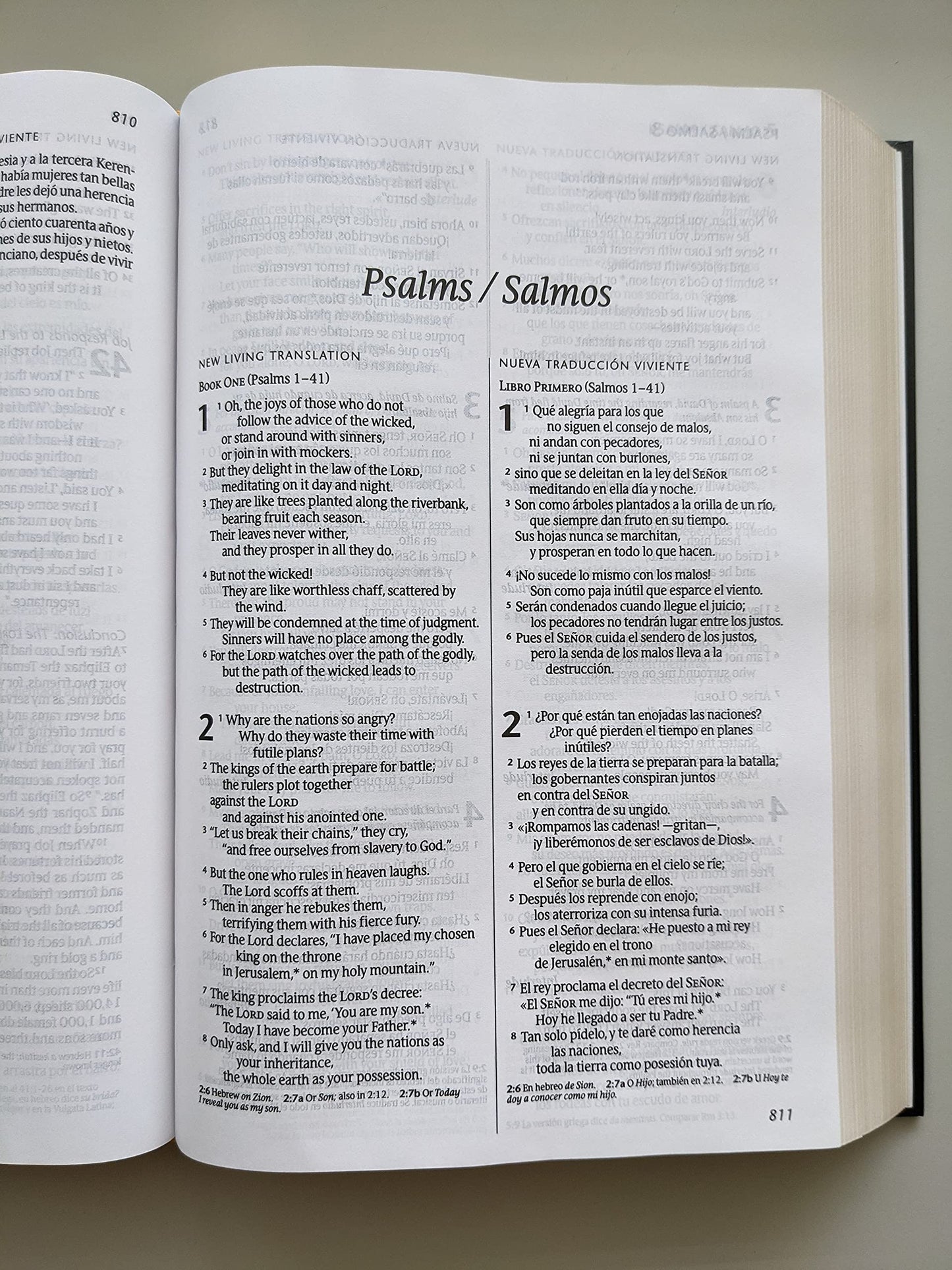 Bilingual Bible / Biblia Bilingüe Nlt/Ntv (Hardcover, Black)