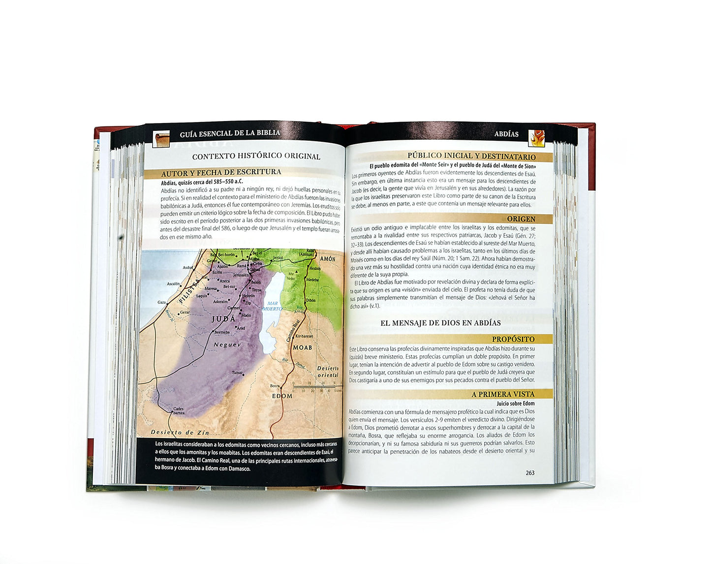 Guía esencial de la Biblia | Ultimate Bible Guide: Un Recorrido Completo de Todos Los 66 Libros de la Biblia