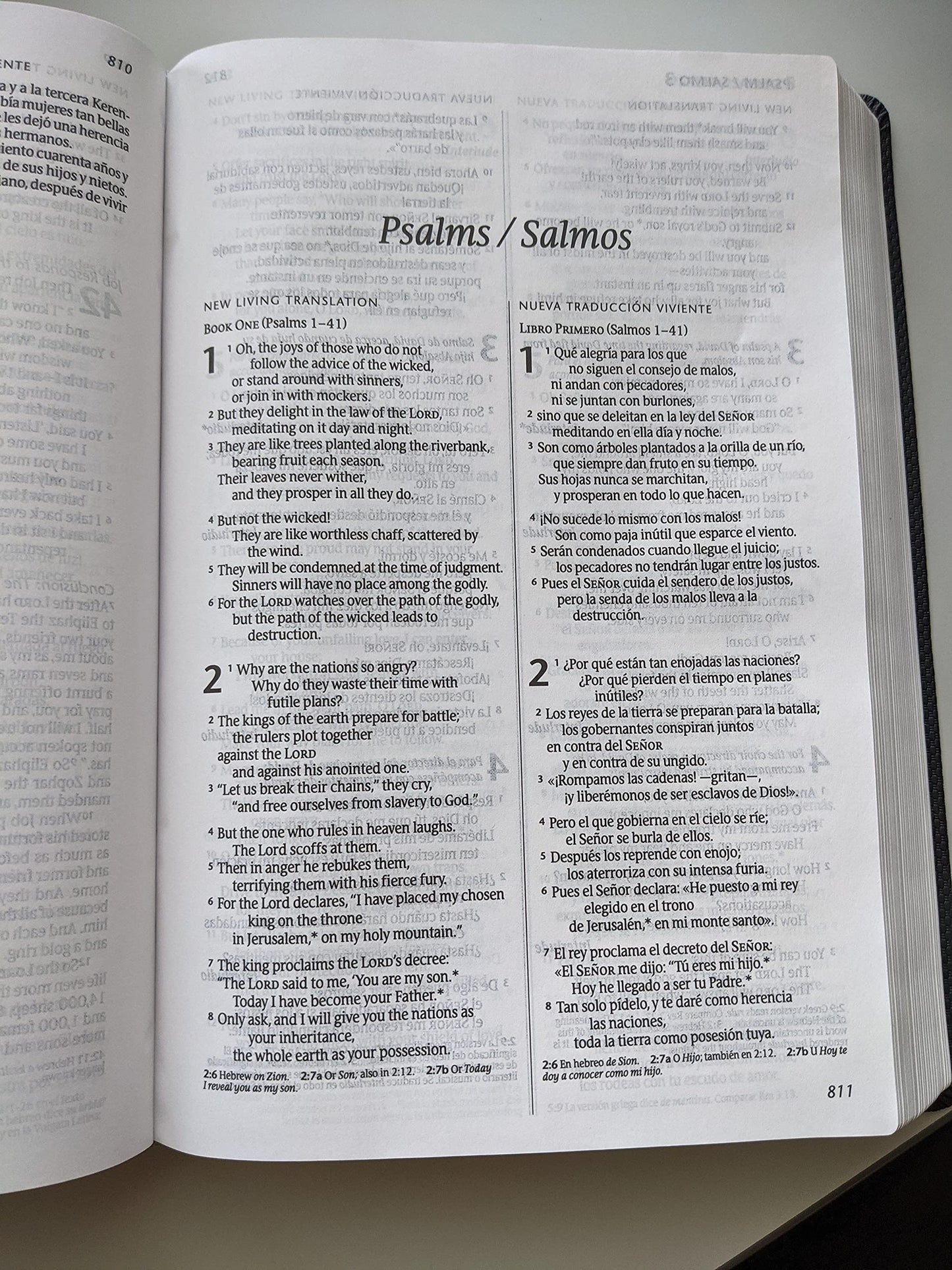 Bilingual Bible / Biblia Bilingue NLT/Ntv