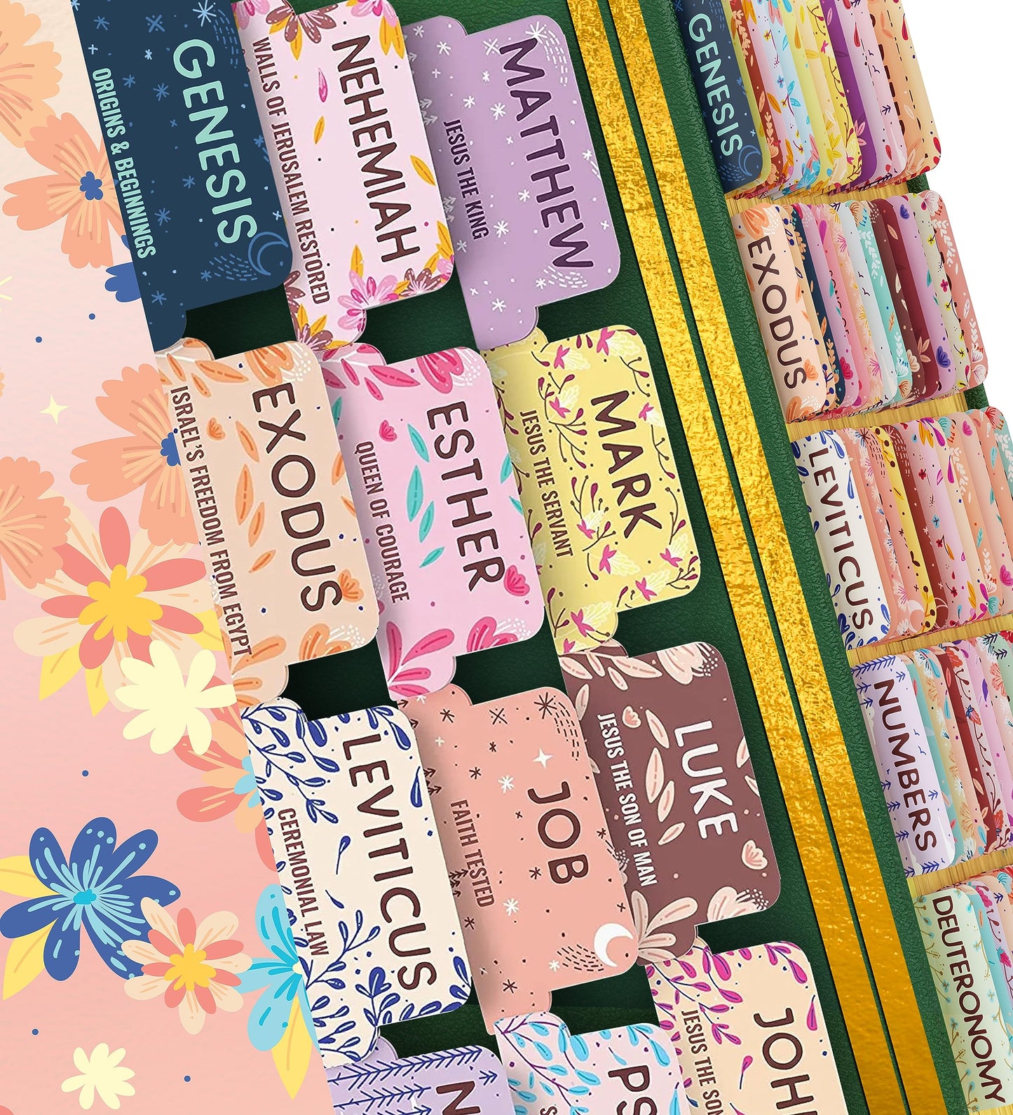 Pestañas bíblicas con flores pastel – Resúmenes de libros nutritivos del alma – 66 pestañas de la Biblia laminadas de pelar y pegar, impresión grande | Pestañas bíblicas para mujeres, suministros de