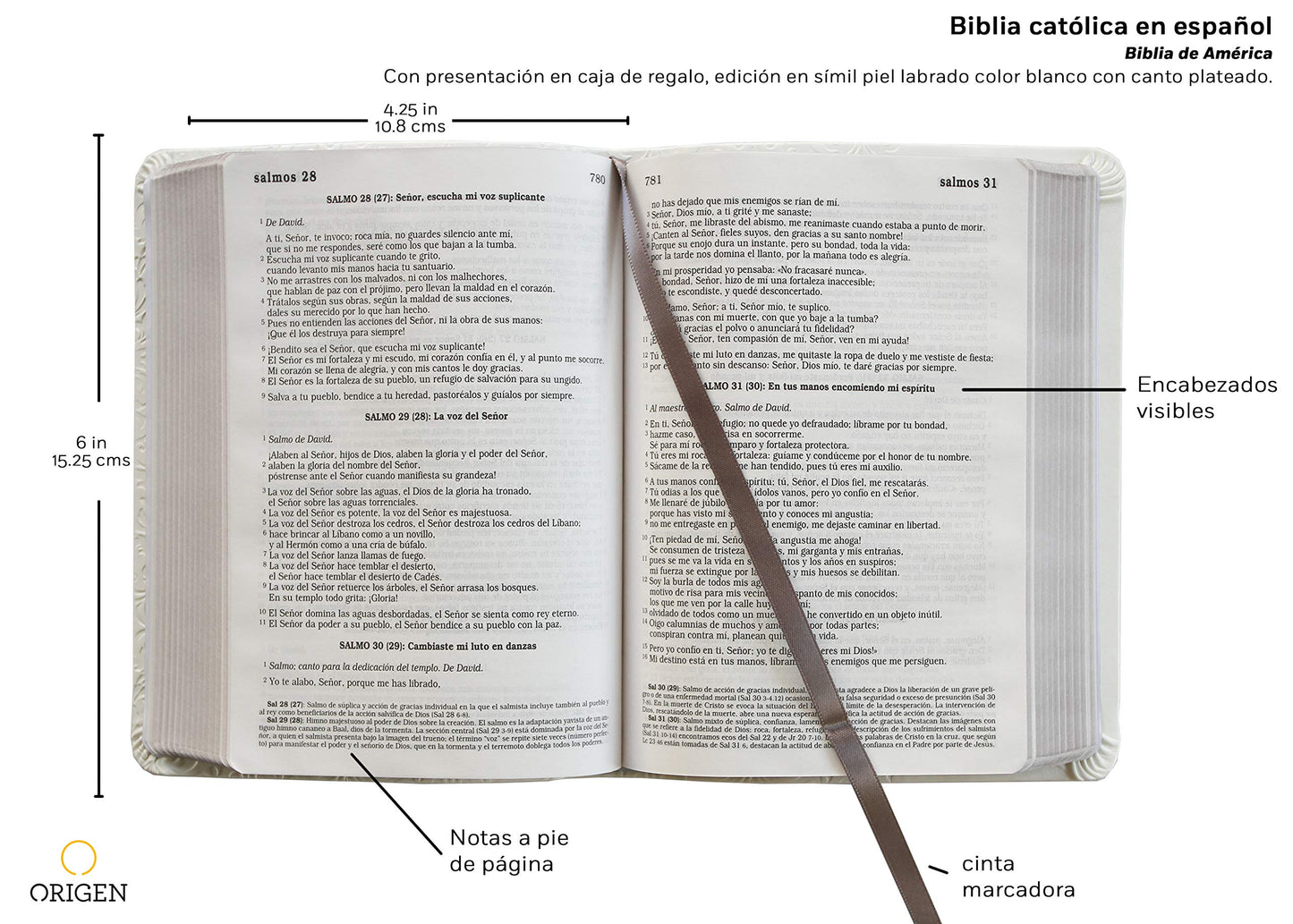 Biblia Católica en español. Boda, bautizo, primera comunión, confirmación y cumpleaños. Caja de regalo