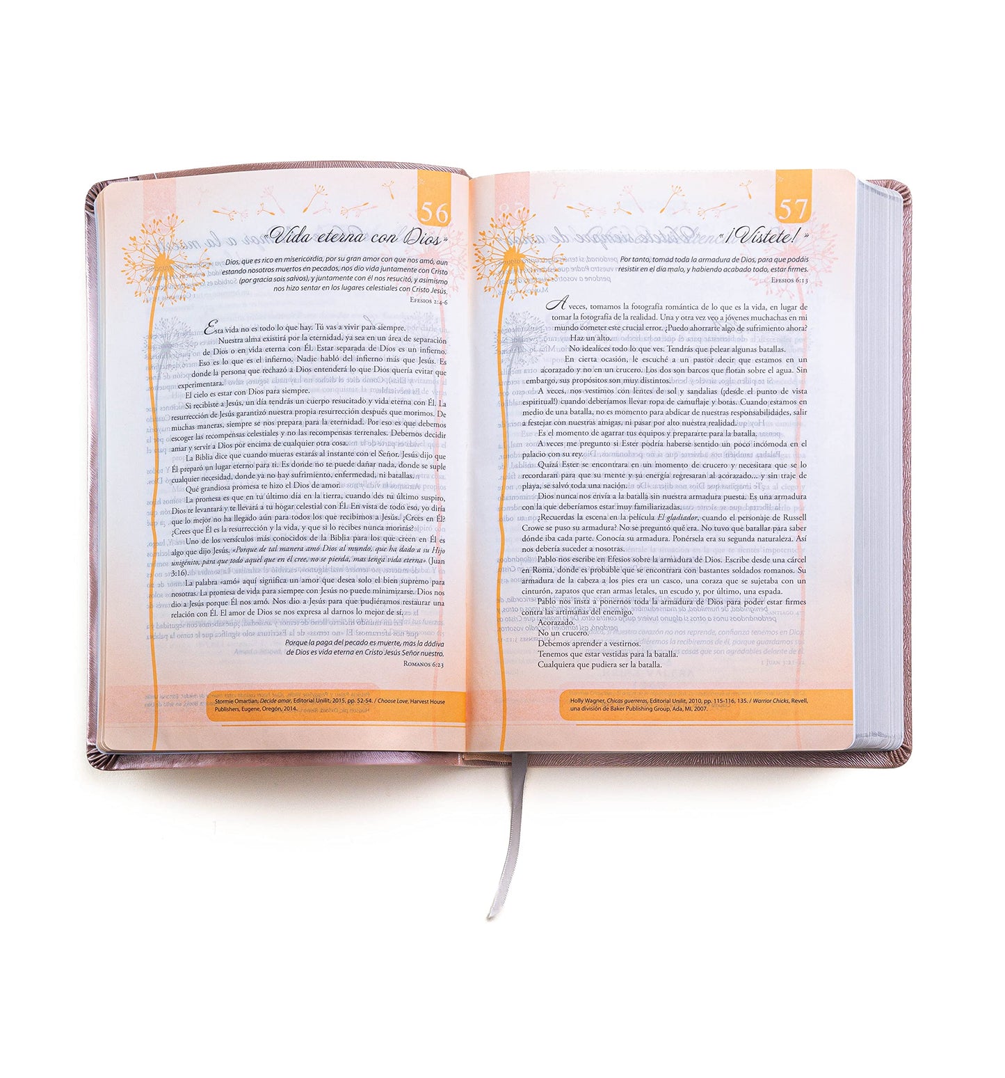 Biblia de promesas Inspira- Oro Rosado - Reina Valera 1960- Letra Grande (Spanish Edition): Edicion Para Mujeres