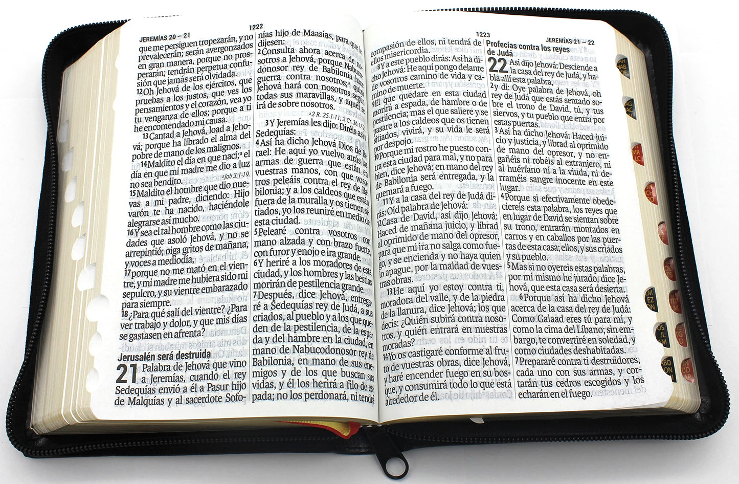 Biblia RVR 1960 Letra Supergigante, Palabras de Jesús en Rojo, con concordancia (Spanish Edition) (Spanish and Chinese Edition)