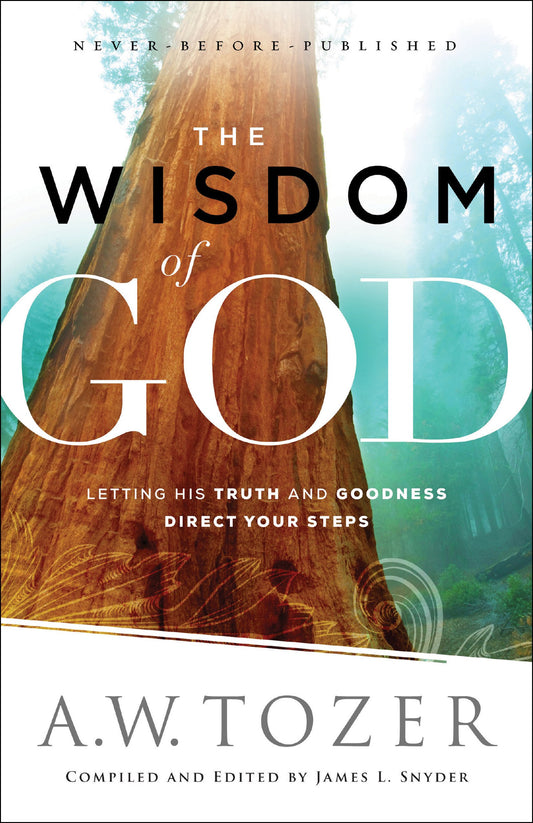 The Wisdom of God: Letting His Truth and Goodness Direct Your Steps (English Edition)