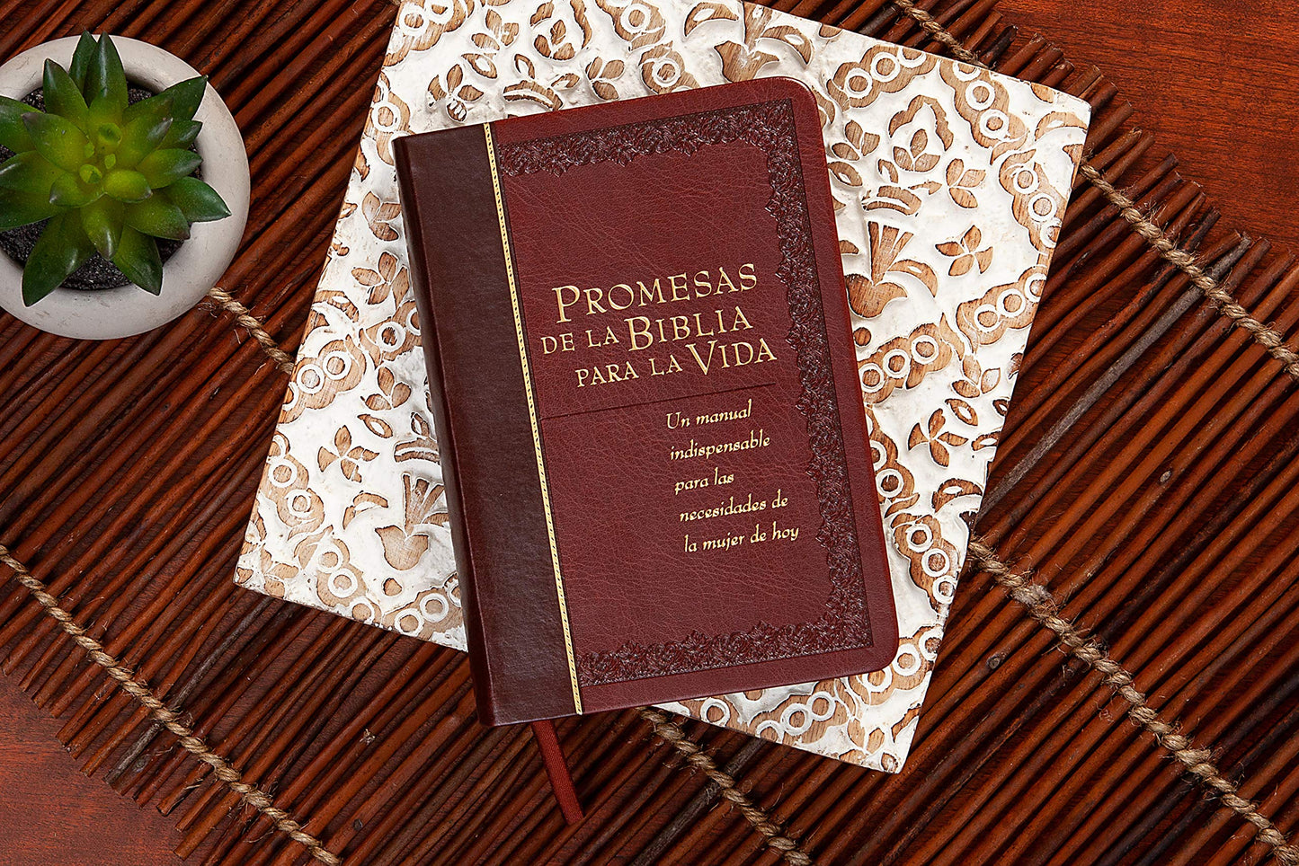 Promesas de la Biblia Para La Vida: Un Manual Indispensable Para Cada Una de Sus Necesidades