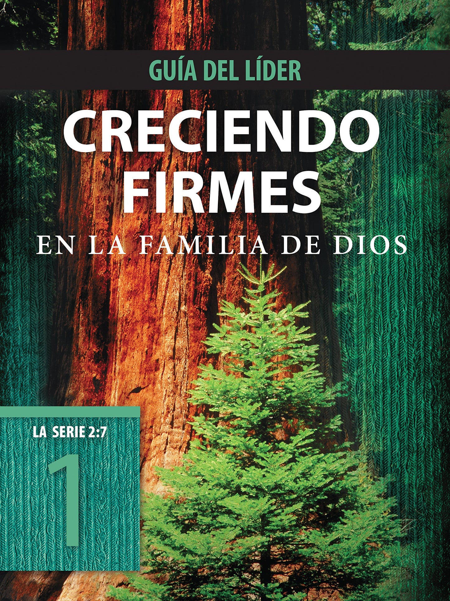 Creciendo firmes en la familia de Dios, Guía del líder (La Serie 2:7 nº 1)